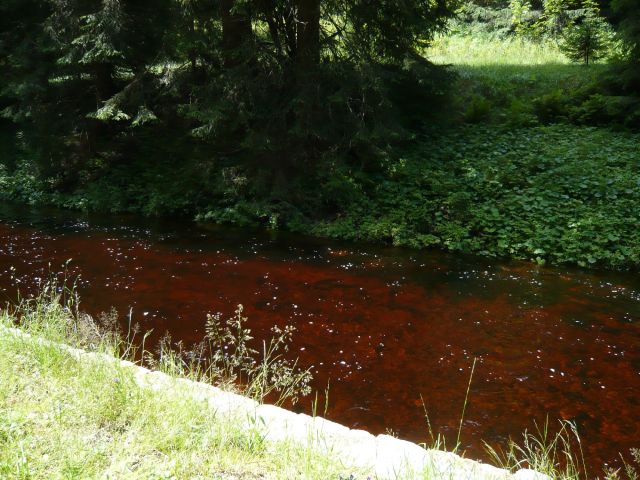 2009-07-Otava-Vltava > obr (189)